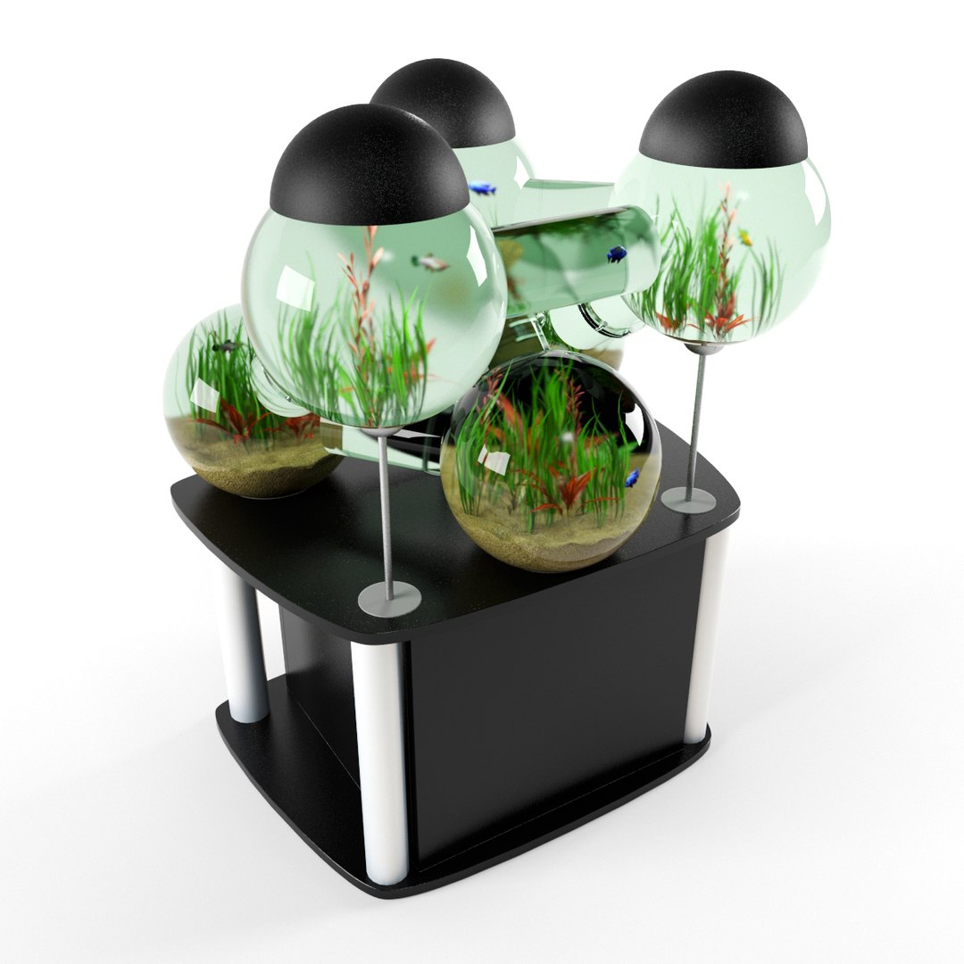 Max Aquarium Labyrinth Aqua