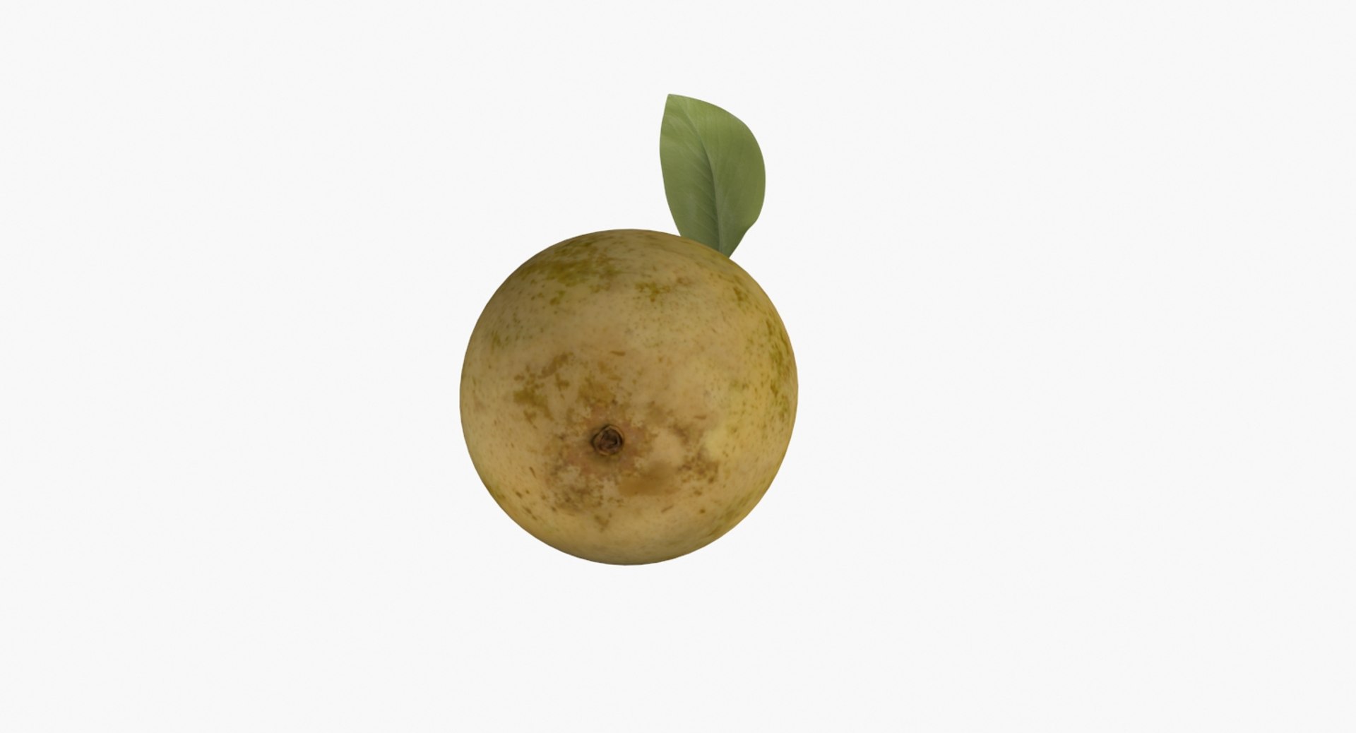 Realistic pear fruit model - TurboSquid 1383247