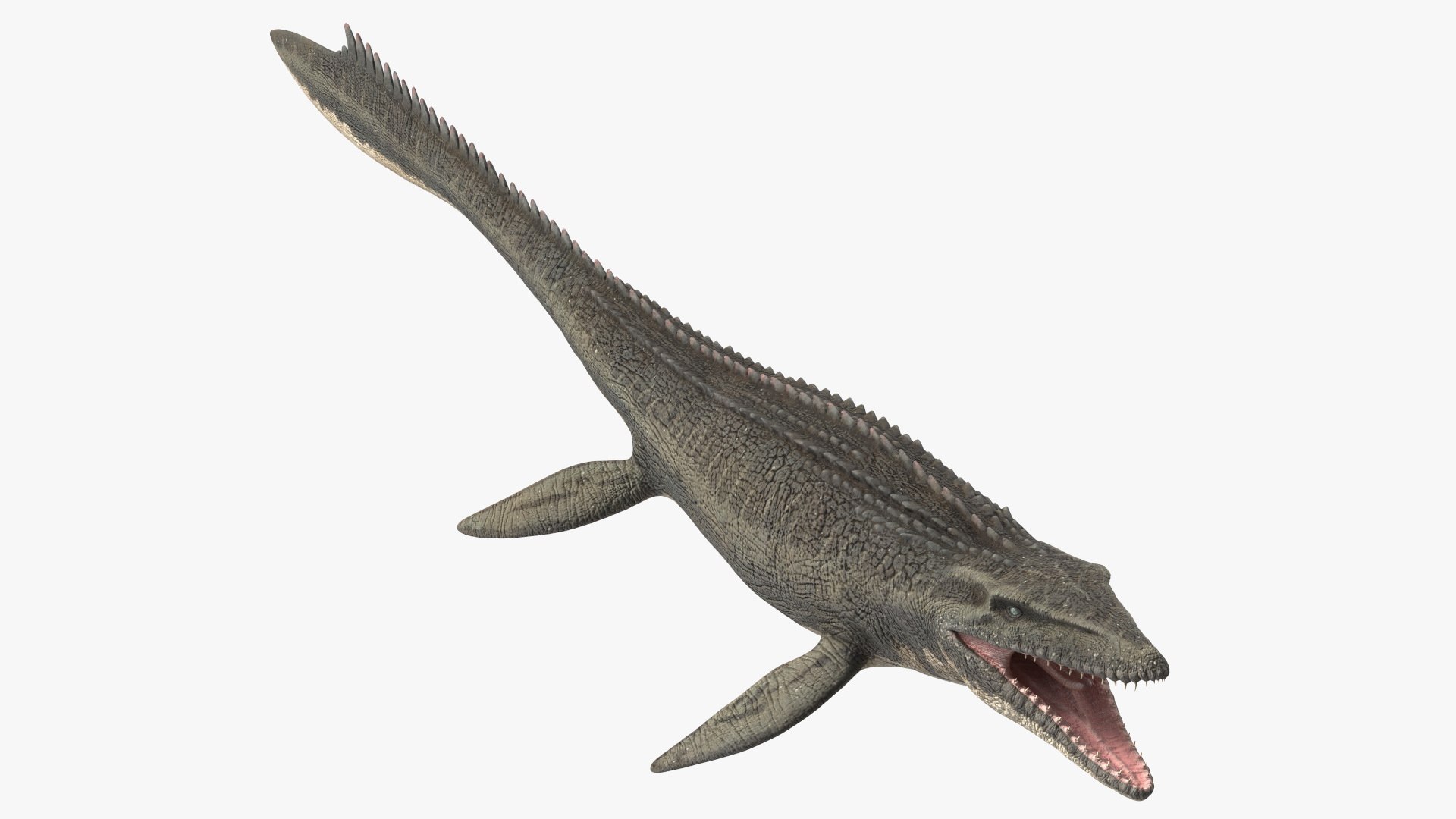 Mosasaurus Rigged for Maya 3D model preview