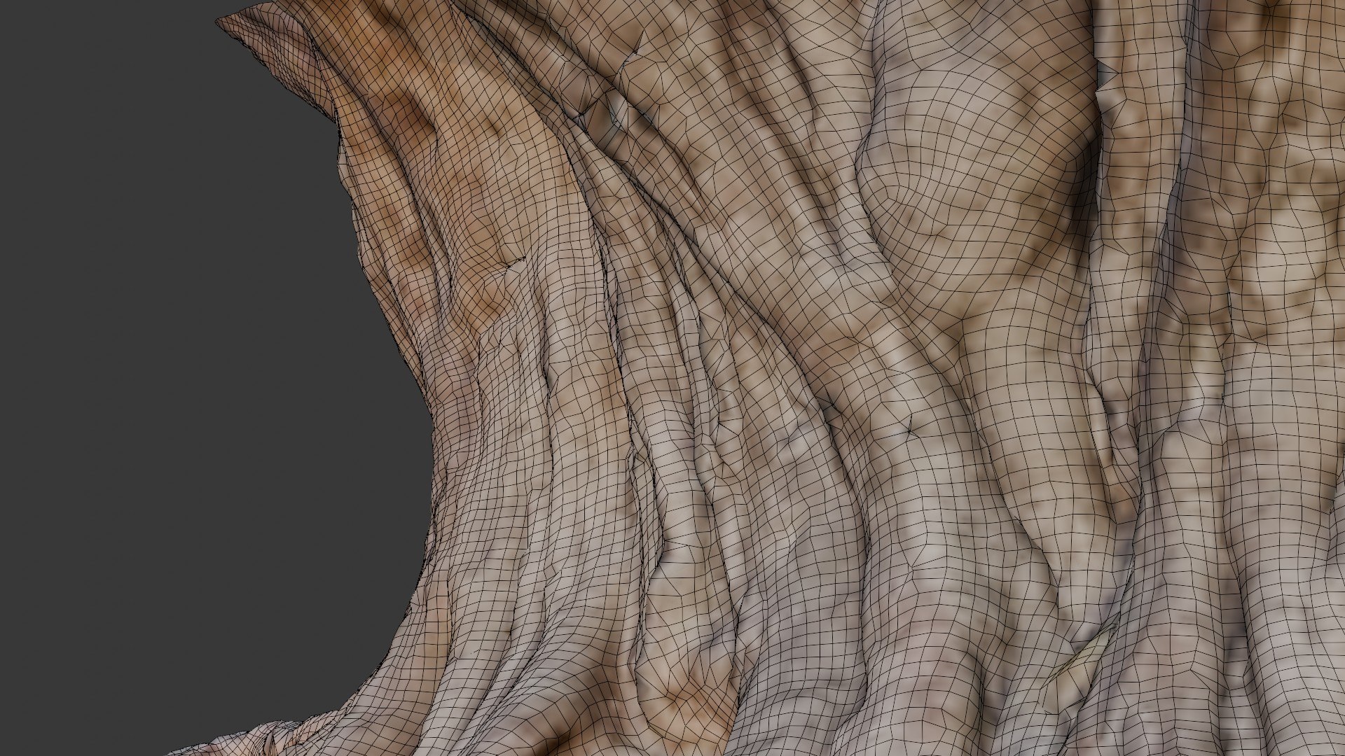 3D Tree Trunk Roots Scan Model - TurboSquid 2436249