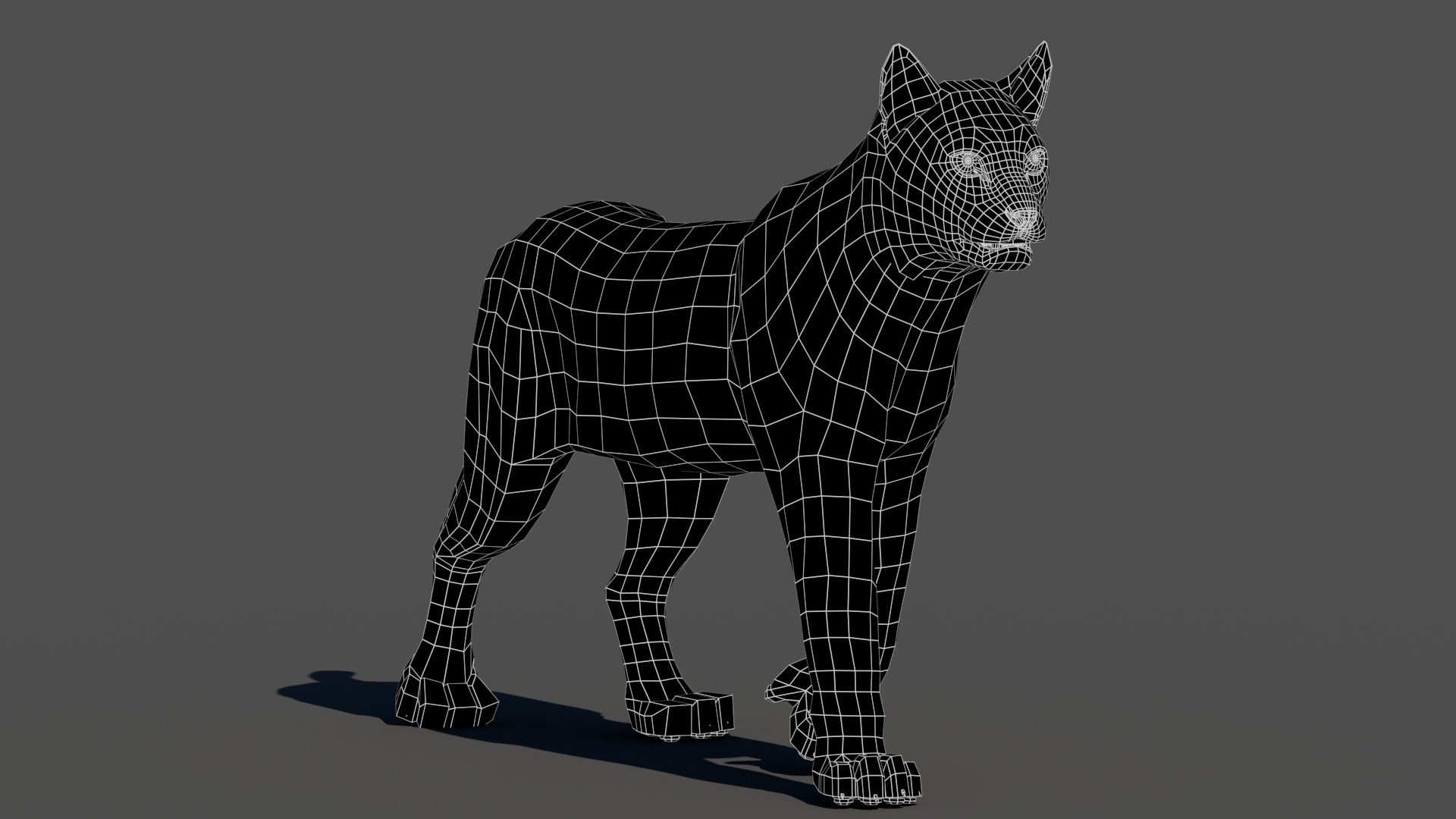 3d bobcat fur lynx rufus model https://p.turbosquid.com/ts-thumb/cY/72HWO8/Ua/animatedbobcat3dmodelwithfurwireframe01/jpg/1779126212/1920x1080/fit_q87/6b00062c468eac0ea70dc07f4719c55e321c6c5d/animatedbobcat3dmodelwithfurwireframe01.jpg