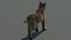 Bobcat (Animado, pele) (Lynx Rufus)