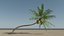3D Coconut Palm v3