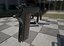 Colt M1911
