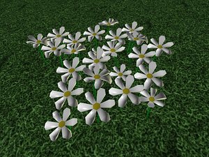 Flower patch
