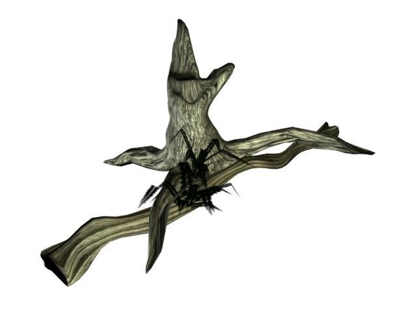 dead tree fern 3d ma