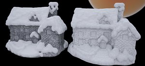 NEW ZEALAND COTTAGE HOME 2021 FBX 3D model
