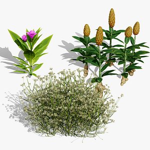 3D model Photorealistic Botanical Asset Pack