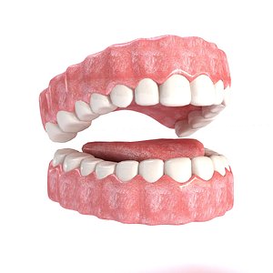 realistic mouth 3D model