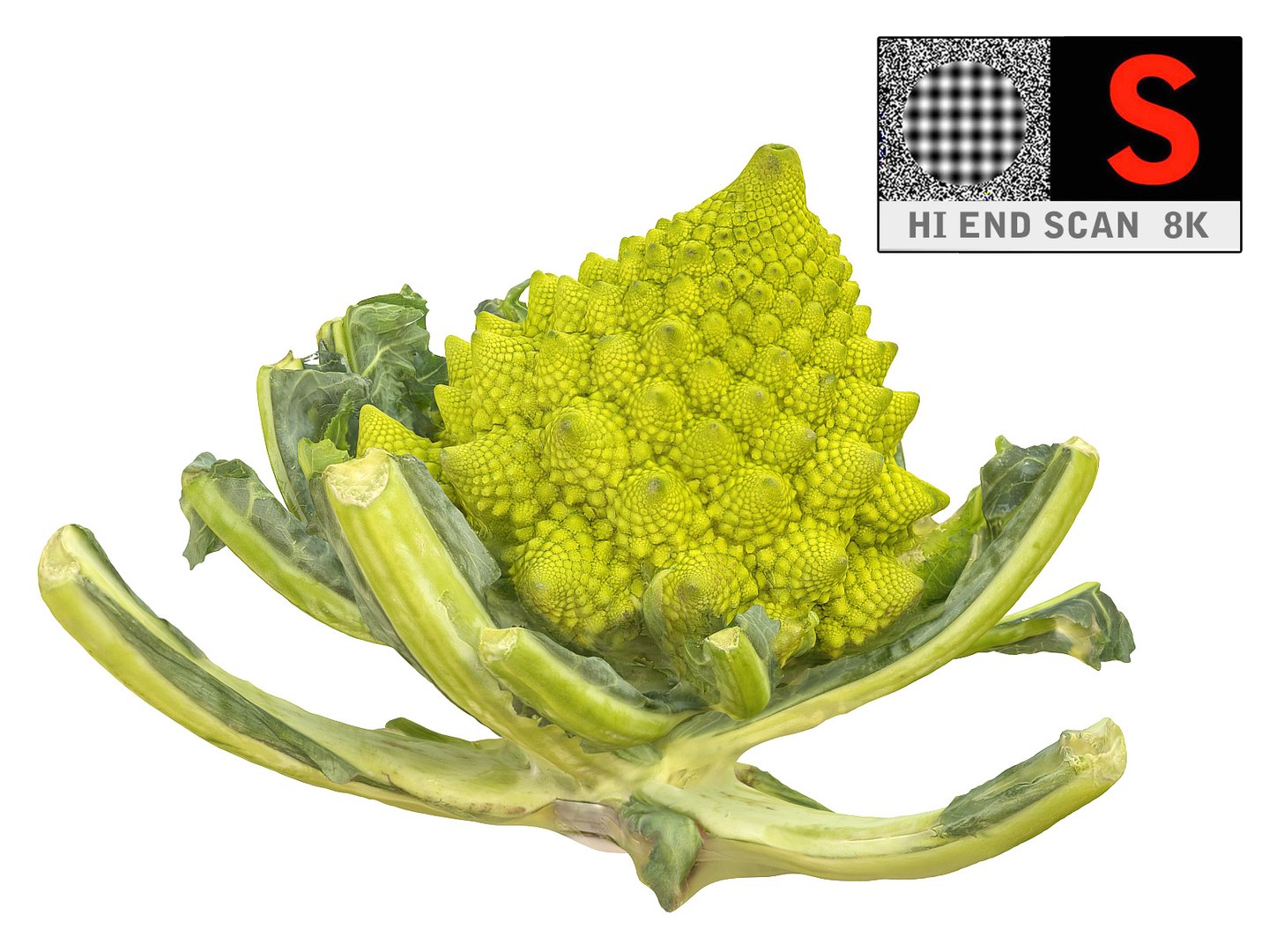 3d romanesco broccoli ultra hd model https://p.turbosquid.com/ts-thumb/cY/p1SOGS/6aiEr8S7/09789/jpg/1431283376/1920x1080/fit_q87/31a478d7520f9bfc3594b6fdbb2c500ebfb02ae0/09789.jpg