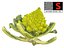 Romanesco broccoli cauliflower 8K ULTRA HD