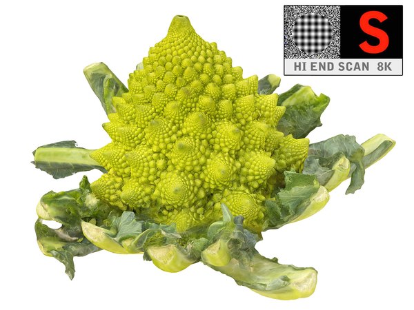 3d romanesco broccoli ultra hd model