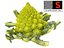 Romanesco broccoli cauliflower 8K ULTRA HD