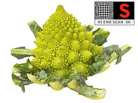 Romanesco broccoli cauliflower 8K ULTRA HD