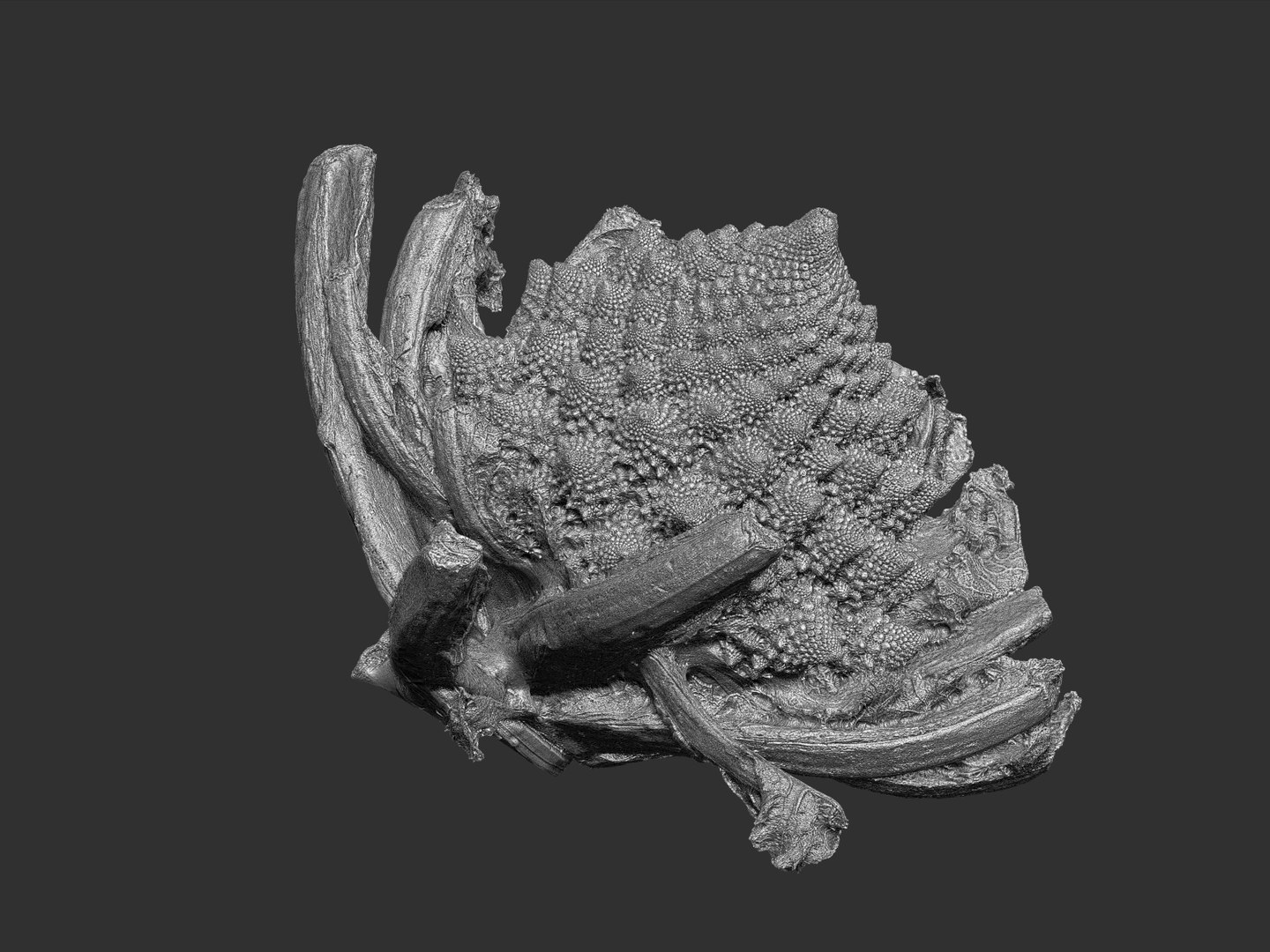 3d romanesco broccoli ultra hd model https://p.turbosquid.com/ts-thumb/cY/p1SOGS/W8A8VBQd/65434/jpg/1431283426/1920x1080/fit_q87/ef92e6ab178304d4ba49ed641c7f70590697e528/65434.jpg