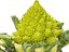 Romanesco broccoli cauliflower 8K ULTRA HD