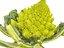 Romanesco broccoli cauliflower 8K ULTRA HD