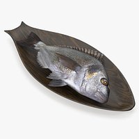 Gilthead Dorado On Wooden Plate