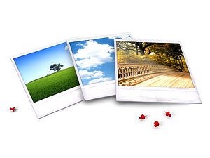 polaroid picture pic 3d model