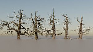 600-year-old dead oaks - ENTS Package 02 3D model