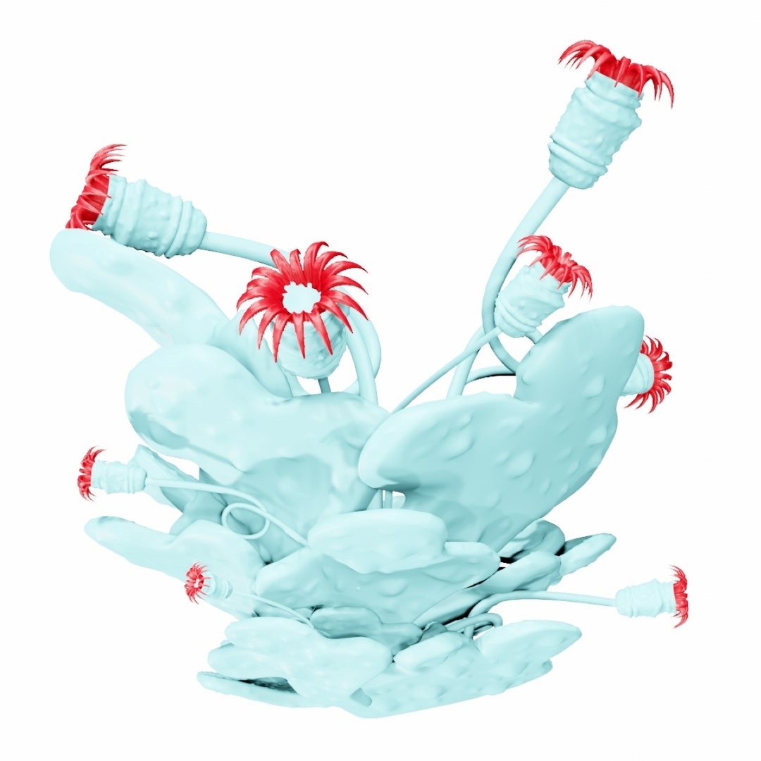 Reef 3D Model - TurboSquid 1825402