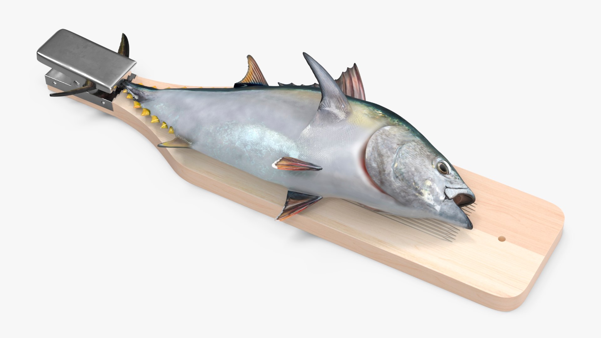 Fish Cleaning Board with Tuna 3D model preview