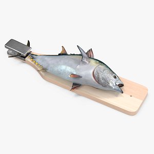 Fish Cleaning Board with Tuna model