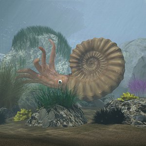 Ammonite with complete underwater scene
