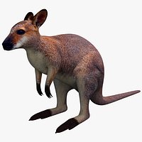 Wallaby