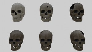 3D skull pbr materials skins