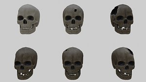 Low Poly Skull Collection With PBR Materials And Multiple Skins