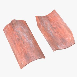 Roof Tiles model