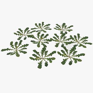 3D plant lawn