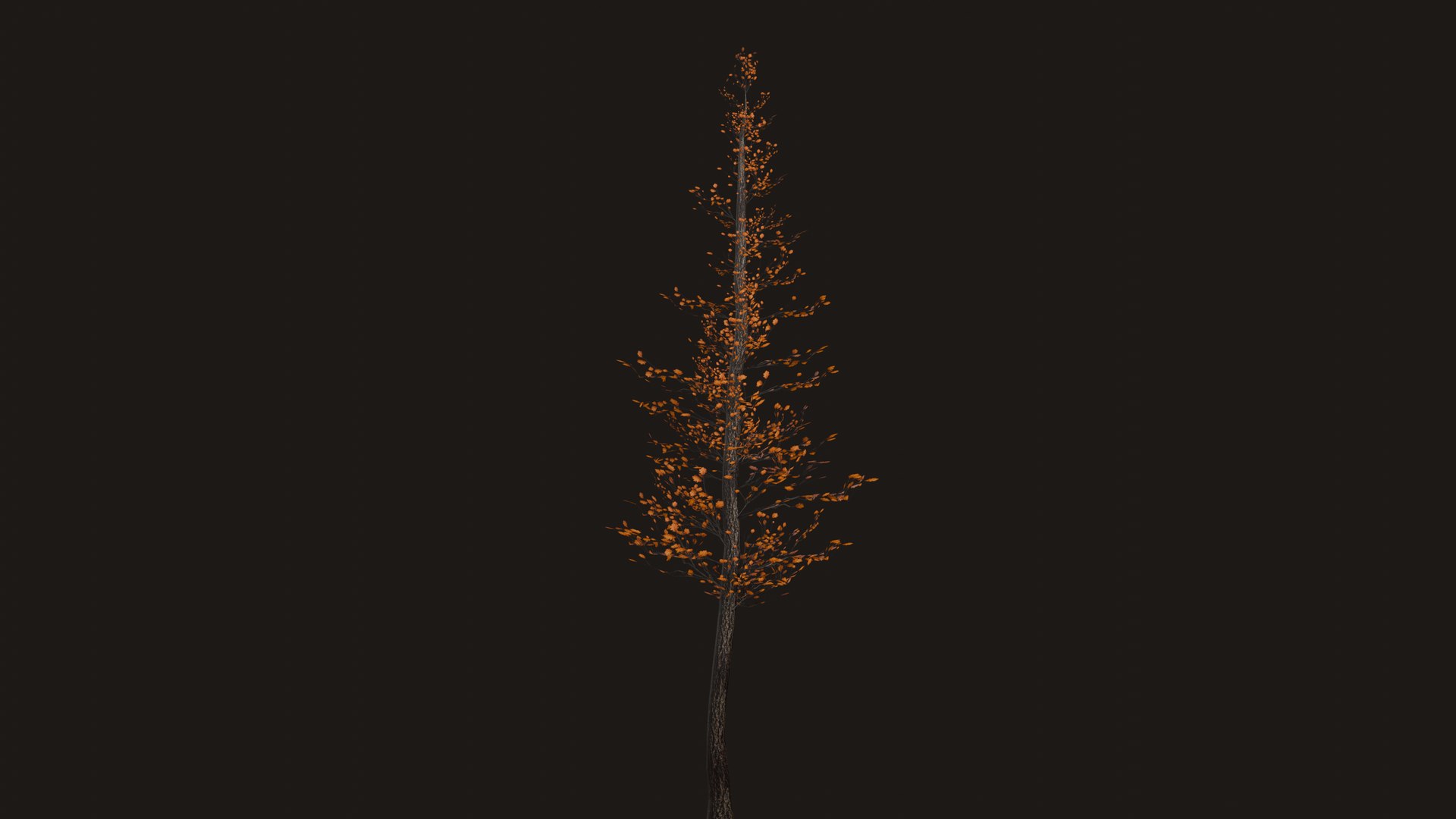 High-Quality Autumn Tree 3D Model  Semi Realistic  Game-Ready 3D model https://p.turbosquid.com/ts-thumb/ca/1iISO7/oG/preview_3/png/1754184602/1920x1080/fit_q87/c5143db766db45b4a02158b4f87fad51fc63a697/preview_3.jpg