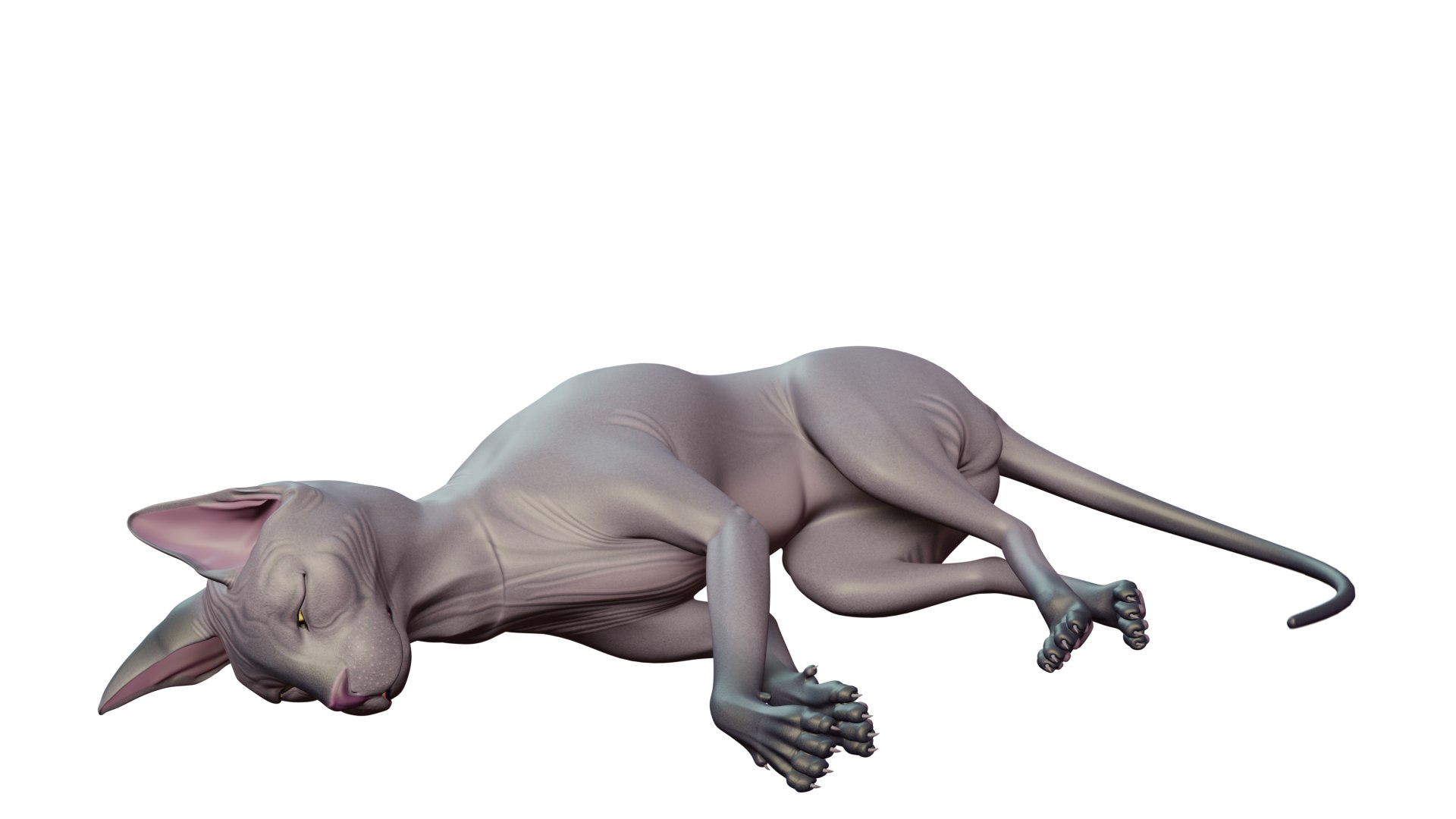 sphynx cat 3D model https://p.turbosquid.com/ts-thumb/ca/2EsL0J/DY/17/png/1668155420/1920x1080/fit_q87/e3f95388d2b406a2d6ee8d53116725577948a328/17.jpg