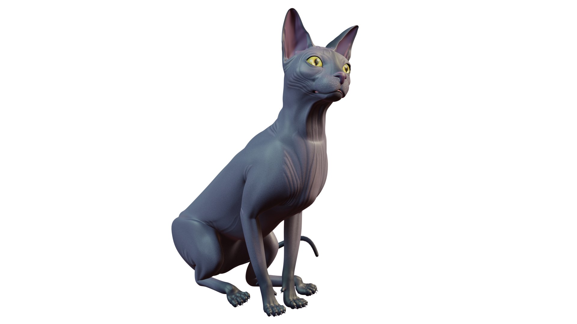 sphynx cat 3D model https://p.turbosquid.com/ts-thumb/ca/2EsL0J/OG/16/png/1668155419/1920x1080/fit_q87/bc9ecfcd03d66e5418ee61328ef15fef84603626/16.jpg