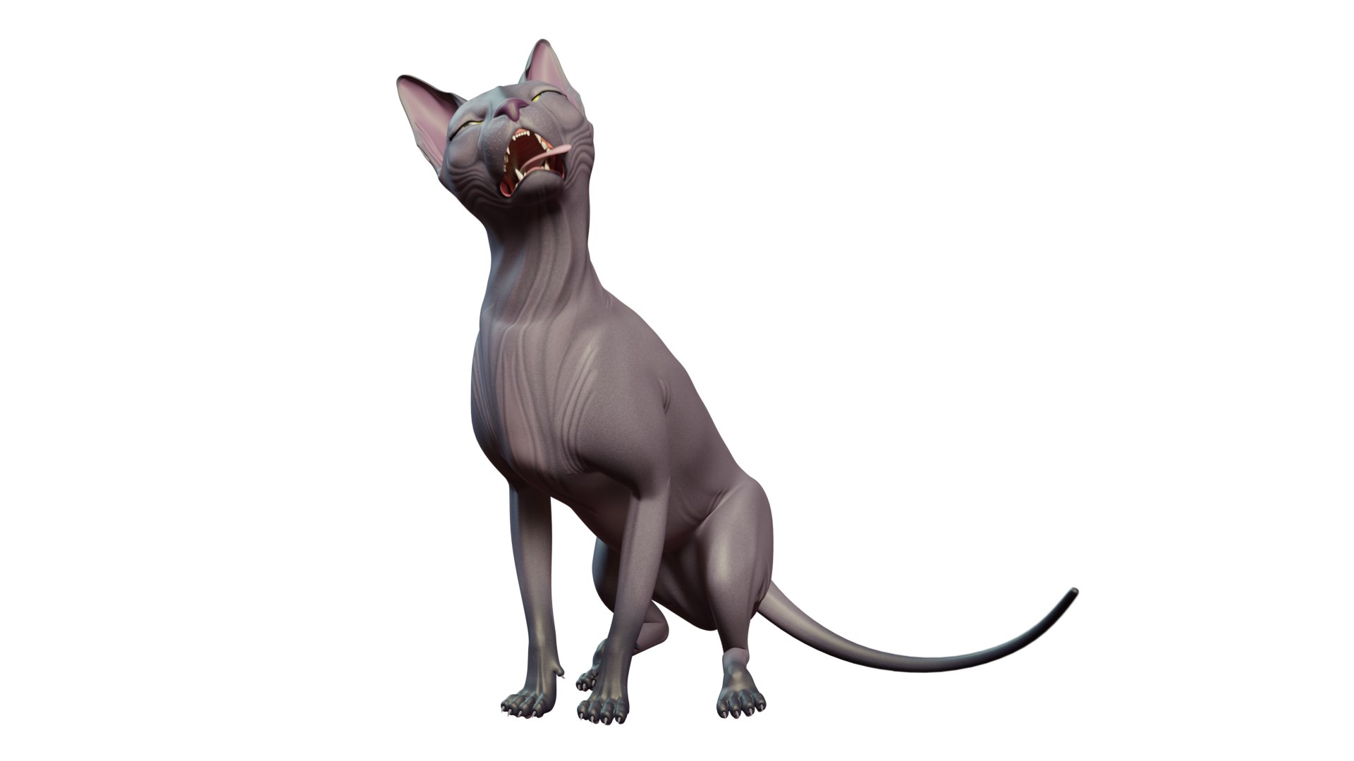 sphynx cat 3D model https://p.turbosquid.com/ts-thumb/ca/2EsL0J/qt/15/png/1668155419/1920x1080/fit_q87/49baf7cc2e7427c88b8d90591bd6b2941fa95d45/15.jpg