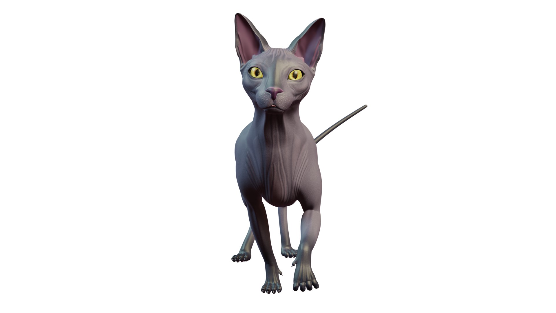 sphynx cat 3D model https://p.turbosquid.com/ts-thumb/ca/2EsL0J/qz/20/png/1668155422/1920x1080/fit_q87/80e0bf1735d1bcd8b205b37ee01d62478d3be894/20.jpg