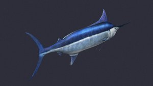 3D swordfish marlin ocean sea fish swim fast model