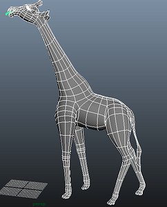 rigged animation model