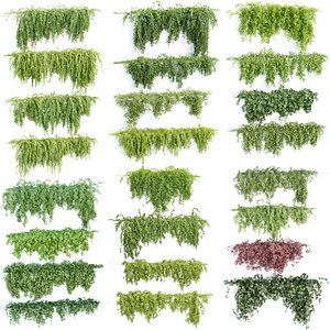 Collection of creeper hanging plants 3D model 3D model