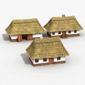 3d village houses model