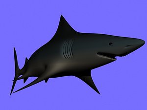 Requin.max