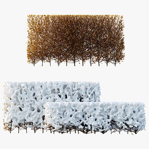 3D AV Plants Red Ixora Jasmine Gardens Chinese Dwarf Coccinea Winter Snow model