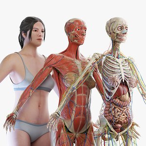 Complete Human Female Anatomy 01