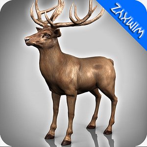 3d deer adapted rigging model