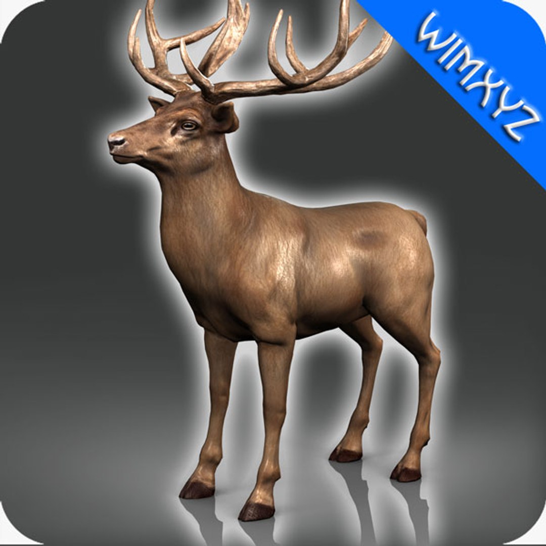 3d deer adapted rigging model
