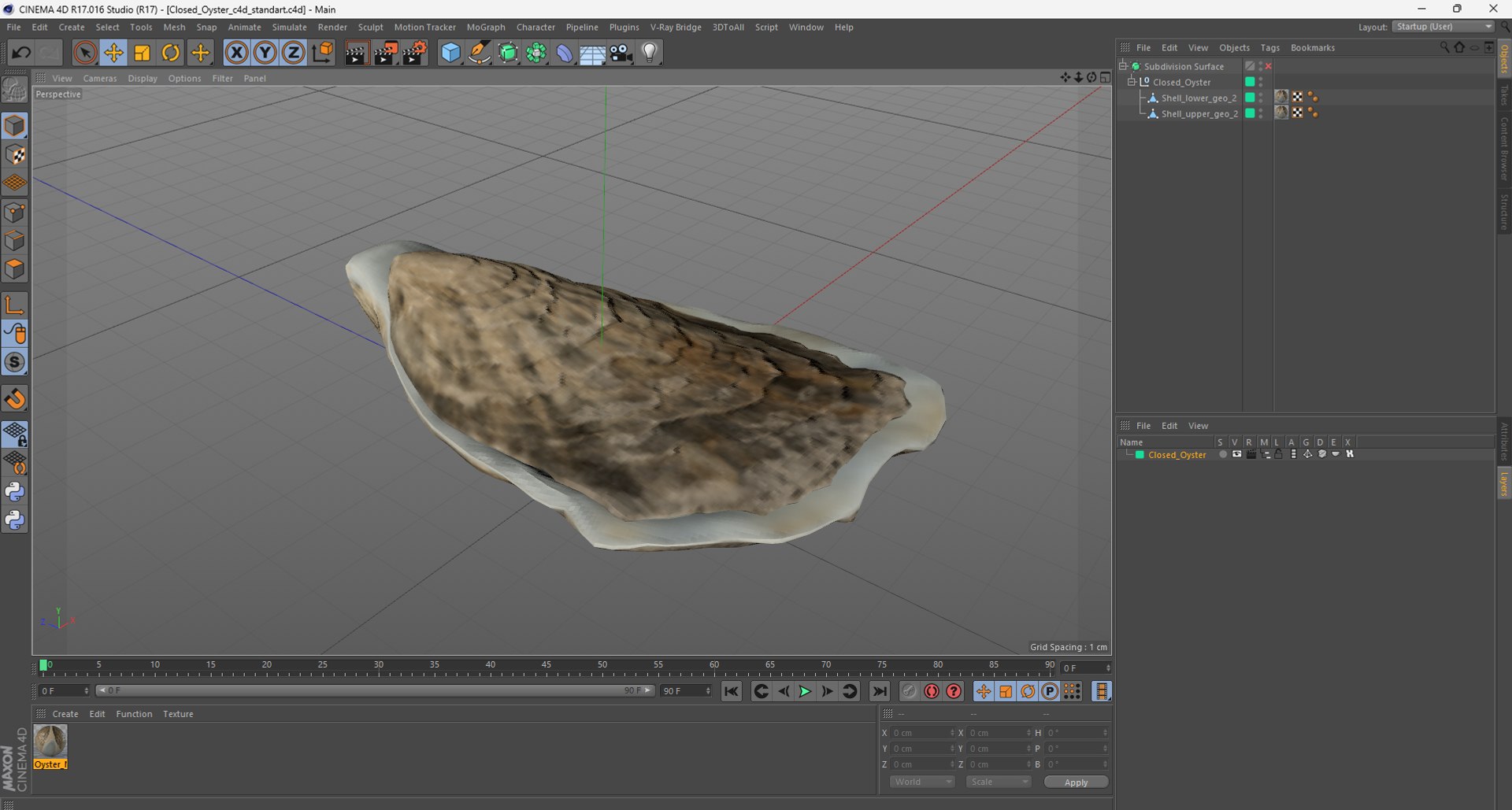 Closed Oyster 3D https://p.turbosquid.com/ts-thumb/cb/7Hau5n/8m/closedoyster3dsmodel033/jpg/1722533363/1920x1080/fit_q87/b3c5e5a9fa8492bd7f85a4e388f8a86bc4d75dcb/closedoyster3dsmodel033.jpg