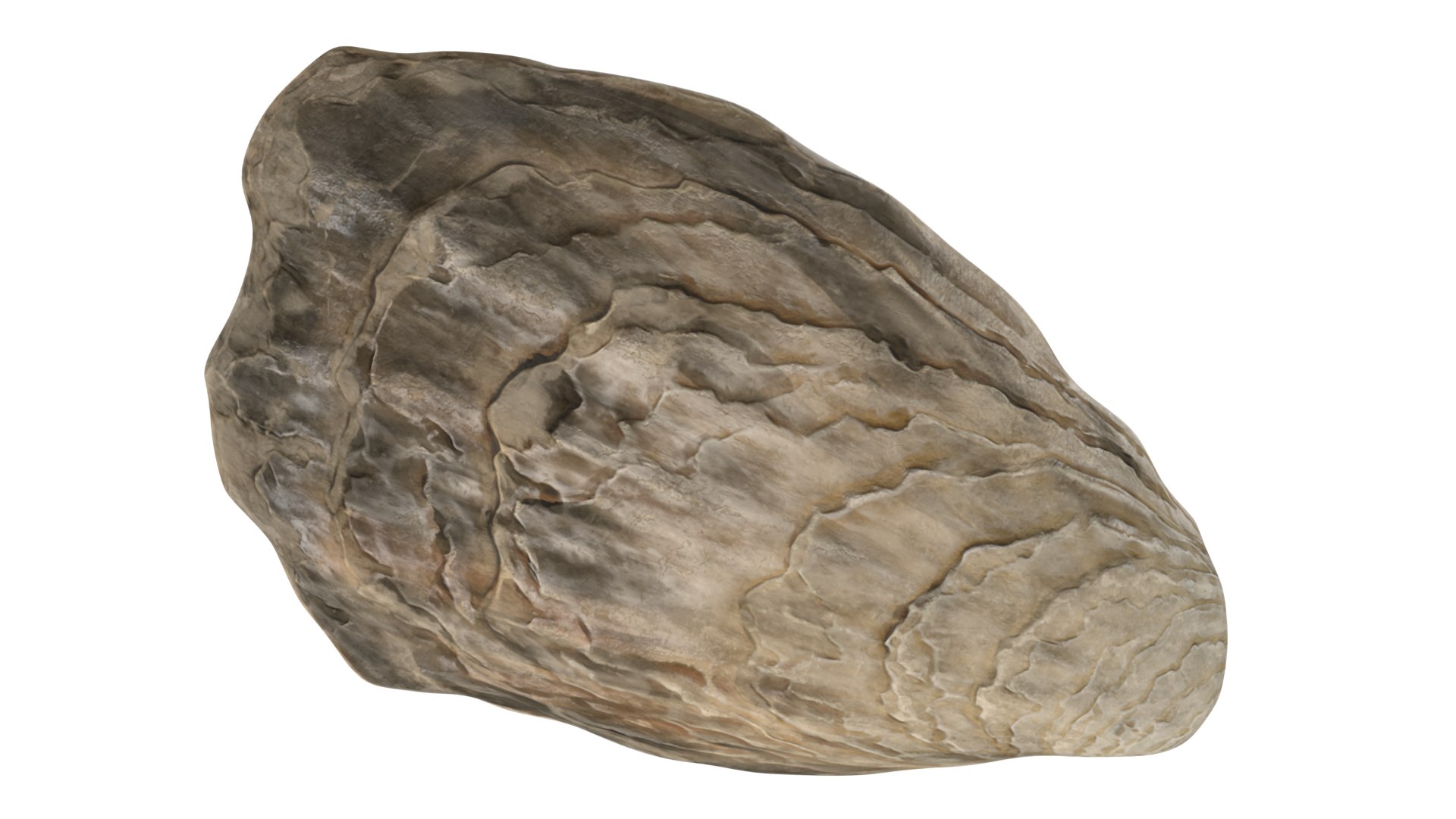 Closed Oyster 3D https://p.turbosquid.com/ts-thumb/cb/7Hau5n/MY/closedoyster3dsmodel014/jpg/1722533304/1920x1080/fit_q87/e559800a93b177aff3bf65d386fea21234af543d/closedoyster3dsmodel014.jpg
