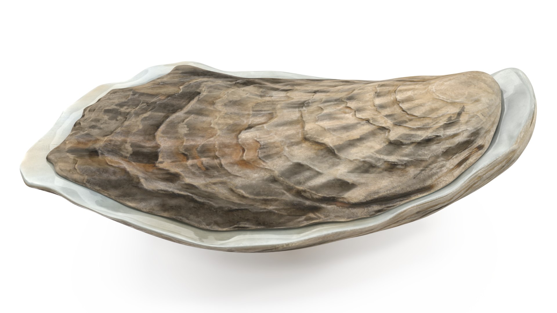 Closed Oyster 3D https://p.turbosquid.com/ts-thumb/cb/7Hau5n/t7/closedoyster3dsmodel013/jpg/1722533300/1920x1080/fit_q87/89735c1d17e0ab350506ac9acd776f3a6a58b4c6/closedoyster3dsmodel013.jpg